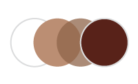 transitions-signature-gen-8-brown