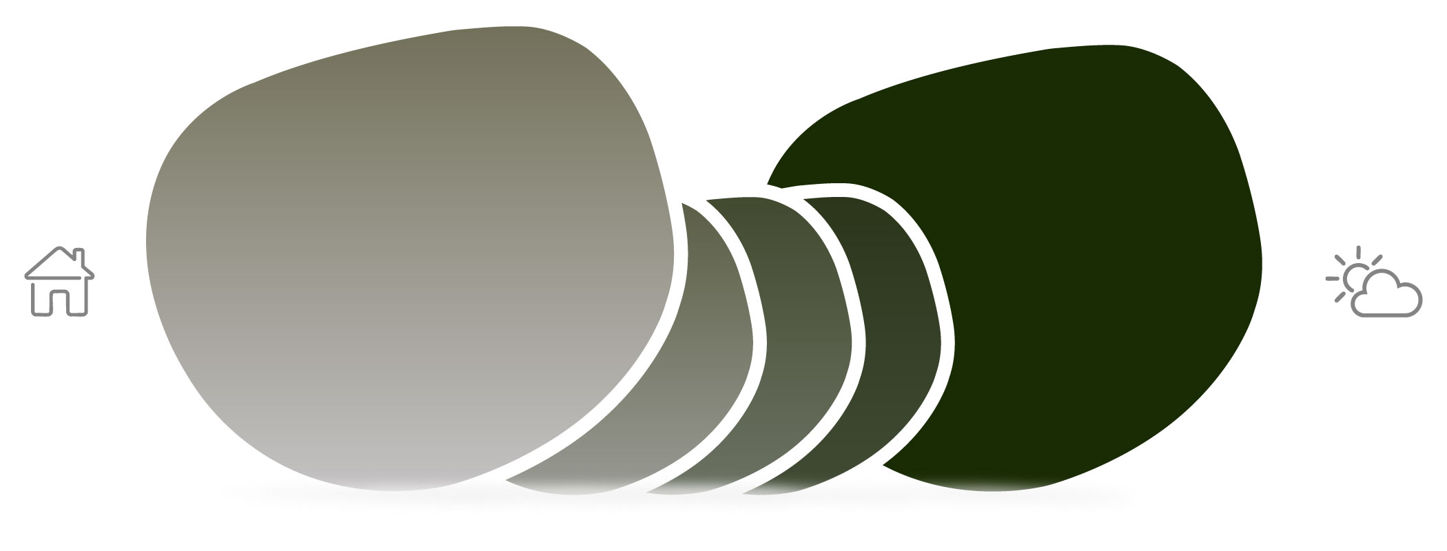 transitionvelvatint_lenses_graphitegreenmoonlitwhisper