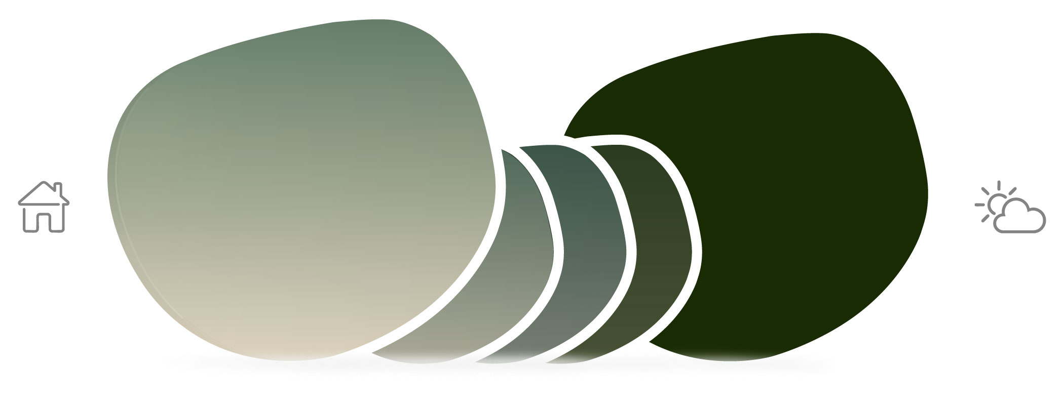 transitionvelvatint_lenses_graphitegreenverdantglow