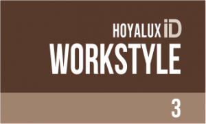 workstyle-3